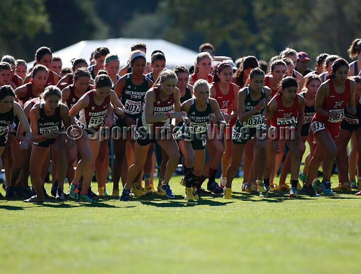 2013SIXCCOLL-091.JPG - 2013 Stanford Cross Country Invitational, September 28, Stanford Golf Course, Stanford, California.